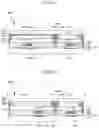 Fig. 10 - Display apparatus