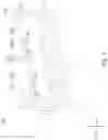 Fig. 04 - Pixel structure