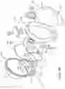 Fig. 35 - Underwater systems for digital image capturing devices