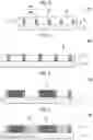 Fig. 03 - METHOD OF MANUFACTURING OPTICAL FILTER