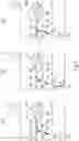 Fig. 08 - Measuring device and image forming apparatus