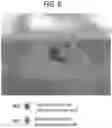 Fig. 07 - Automatic evapotranspiration mitigation