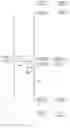 Fig. 49 - EMERGENCY DRIVER ASSISTANT