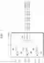 Fig. 07 - Electronic circuit for controlling power
