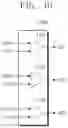 Fig. 10 - Electronic circuit for controlling power
