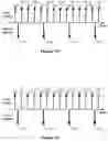 Fig. 19 - Devices and methods for processing touch inputs