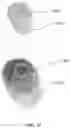 Fig. 26 - Optical fingerprint sensor with non-touch imaging capability
