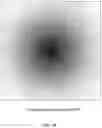 Fig. 43 - Optical fingerprint sensor with non-touch imaging capability