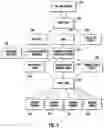 Fig. 03 - Graphical user interface to track dynamic data