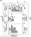 Fig. 04 - Graphical user interface to track dynamic data