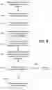 Fig. 09 - Application publishing in a virtualized environment