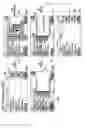 Fig. 19 - Method of dividing screen areas and mobile terminal employing the same