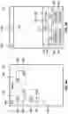 Fig. 03 - Systems and methods for analyzing and organizing digital photos and videos