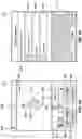 Fig. 06 - Systems and methods for analyzing and organizing digital photos and videos
