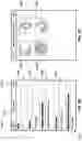 Fig. 12 - Systems and methods for analyzing and organizing digital photos and videos