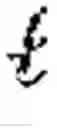 Fig. 02 - Random noise generation