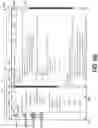 Fig. 09 - Transparent client-side source code editing on a remote network management platform
