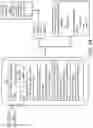 Fig. 48 - Methods and systems for creating applications using scene trees