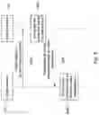 Fig. 05 - Communication method for virtual machines, electronic device, and non-transitory computer readable storage medium