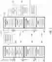 Fig. 10 - METHOD AND ARCHITECTURE FOR CRITICAL SYSTEMS UTILIZING MULTI-CENTRIC ORTHOGONAL TOPOLOGY AND PERVASIVE RULES-DRIVEN DATA AND CONTROL ENCODING