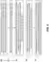 Fig. 04 - Efficient packing of compressed data in storage system implementing data striping
