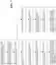 Fig. 08 - Methods for managing snapshots in a distributed de-duplication system and devices thereof