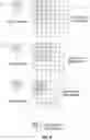 Fig. 08 - Memory lookup computing mechanisms