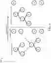 Fig. 07 - Encoding and decoding tree data structures as vector data structures