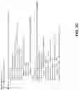 Fig. 06 - Risk score generation with dynamic aggregation of indicators of compromise across multiple categories
