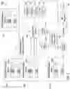Fig. 02 - Hyperlink with graphical cue