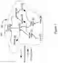 Fig. 06 - Automated comprehension of natural language via constraint-based processing