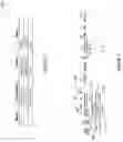 Fig. 11 - Automated comprehension of natural language via constraint-based processing