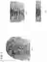 Fig. 04 - Minutia features generation apparatus, system, minutia features generation method, and program