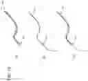 Fig. 16 - Minutia features generation apparatus, system, minutia features generation method, and program