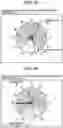 Fig. 12 - Method, device, and medium for determining three-dimensional position of skeleton using data acquired by multiple sensors