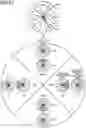 Fig. 14 - Method, device, and medium for determining three-dimensional position of skeleton using data acquired by multiple sensors