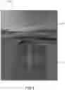 Fig. 05 - Real-time simultaneous detection of lane marker and raised pavement marker for optimal estimation of multiple lane boundaries