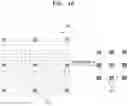 Fig. 14 - Method and system of performing convolution in neural networks with variable dilation rate