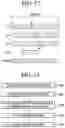 Fig. 15 - ARTIFICIAL INTELLIGENCE DEVICE AND OPERATING METHOD THEREOF