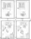 Fig. 08 - Sales rotation system and sales rotation queue processes