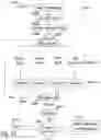Fig. 24 - System and method for automotive inventory management and recordkeeping using multi-tiered distributed network transactional database
