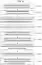 Fig. 15 - SERVER, METHOD, AND RECORDING MEDIUM STORING COMMANDS FOR SUPPORTING PAYMENT