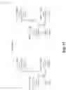 Fig. 12 - RANDOM NUMBER GENERATION IN A BLOCKCHAIN
