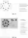 Fig. 12 - Systems for selection of cannabis-related products and visualization of chemical data