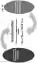 Fig. 06 - Hybrid cross-margining