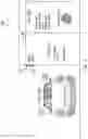 Fig. 03 - Communication of orders and payments in a drive through using wireless beacons