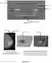 Fig. 02 - System and method for the visualization and characterization of objects in images