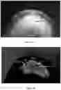 Fig. 08 - System and method for the visualization and characterization of objects in images