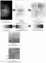 Fig. 15 - System and method for the visualization and characterization of objects in images