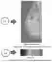 Fig. 19 - System and method for the visualization and characterization of objects in images